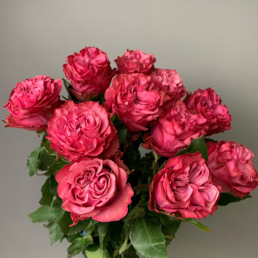 Букет из 11 пионовидных роз "Кантри Блюз". Фото №1