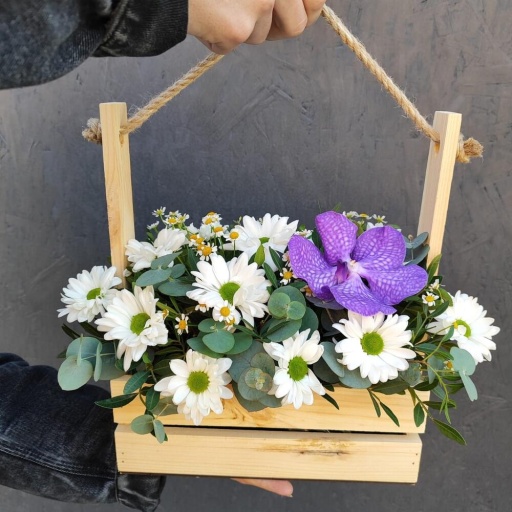 Композиция из кустовой хризантемы, матрекарии, орхидеи Ванда и эвкалипта в деревянном ящике "Махаон". Фото №1