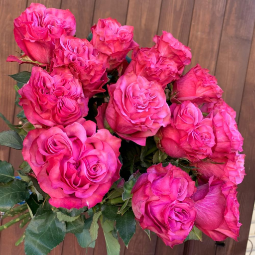 Букет из 15 пионовидных роз "Кантри Блюз". Фото №1