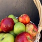 Фруктовая подарочная корзина с яблоками «Яблочное лукошко". Фото №6
