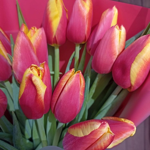 Букет из красно-желтых тюльпанов "Ламбруско". Фото №5