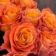 Букет из 21 пионовидной розы «Фри Спирит». Фото №7