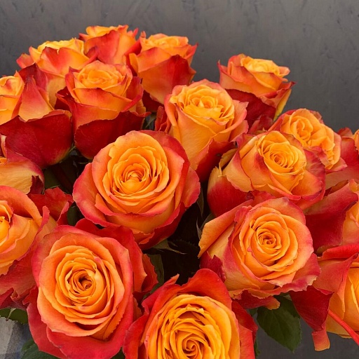 Букет из 21 красно-желтой розы «Силантой». Фото №5