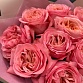 Букет из 11 розовых пионовидных роз "Пинк Экспрешн". Фото №6