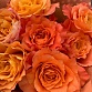 Букет из 7 пионовидных роз «Фри Спирит». Фото №7