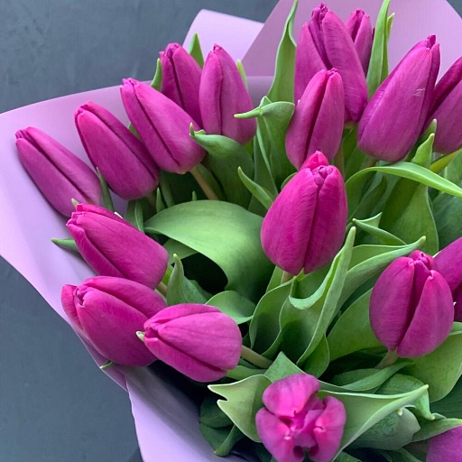 Букет из 25 фиолетовых тюльпанов "Тёрн". Фото №4