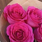 Букет из 7 розовых роз "Пинк Флойд". Фото №5