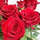 Букет из 19 красных роз "Эксплорер". Фото №7