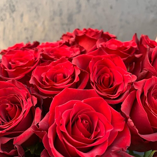 Букет из 55 длинных красных роз "Эксплорер". Фото №5