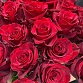 Букет из 25 красных роз "Сандра". Фото №6