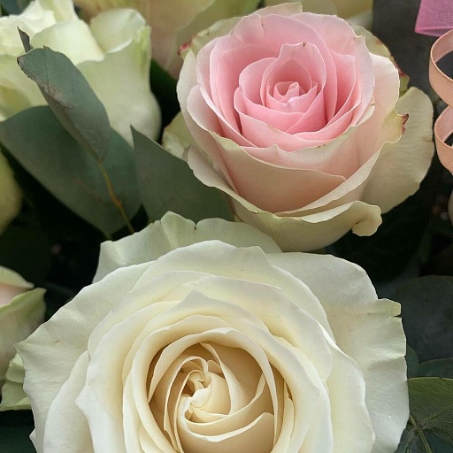 Корзина из 55 белых и розовых роз "Маршмеллоу". Фото №3