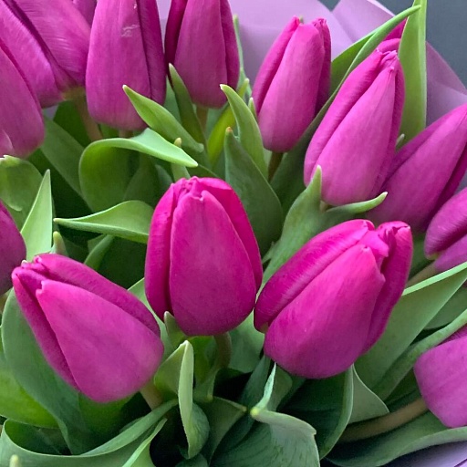 Букет из 25 фиолетовых тюльпанов "Тёрн". Фото №5