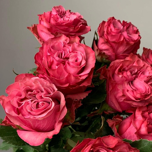 Букет из 11 пионовидных роз "Кантри Блюз". Фото №5