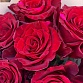 Букет из 7 роз "Ред Пантер". Фото №7