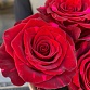 Букет из 9 роз "Ред Пантер". Фото №7