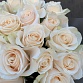 Букет из 21 белой розы «Венделла». Фото №6