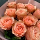 Букет из 11 пионовидных роз "Кахала". Фото №3