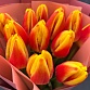Букет из 15 желто-красных тюльпанов "Смэш". Фото №6
