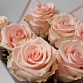Букет из 7 розовых роз "Фрутетто". Фото №7
