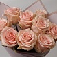 Букет из 9 розовых роз "Фрутетто". Фото №7