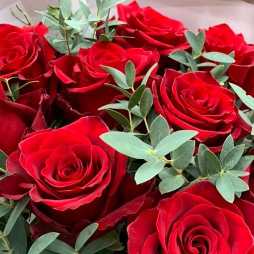 Букет из 9 красных роз и эвкалипта "Боско". Фото №5