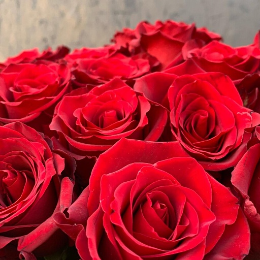 Букет из 31 длинной красной розы "Эксплорер". Фото №5