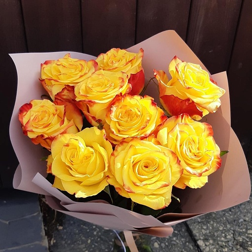 Букет из 9 красно-жёлтых роз "Хай Еллоу". Фото №2