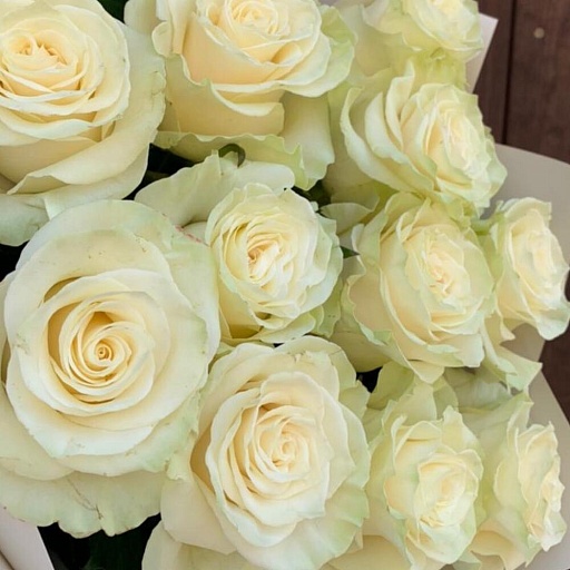Букет из 25 белых роз "Мондиаль". Фото №4