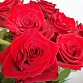 Букет из 19 красных роз "Эксплорер". Фото №6