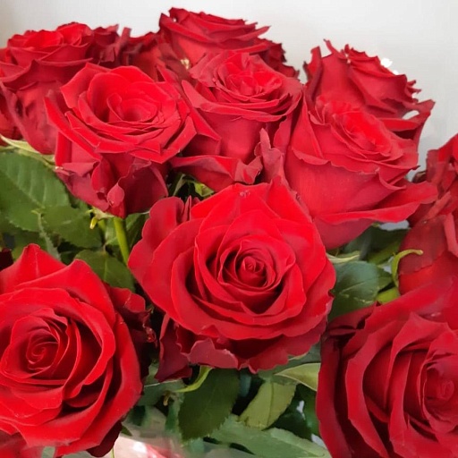 Букет из 19 бордовых роз "Эксплорер". Фото №4