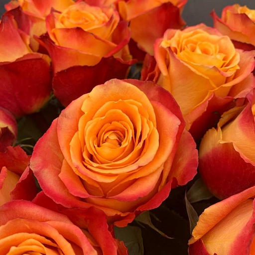 Букет из 21 красно-желтой розы «Силантой». Фото №4