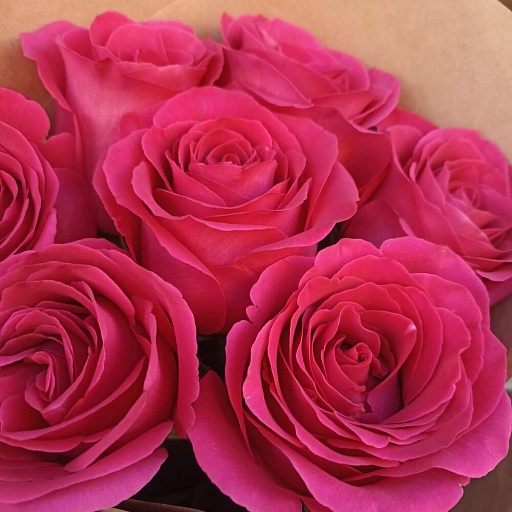 Букет из 7 розовых роз "Пинк Флойд". Фото №3