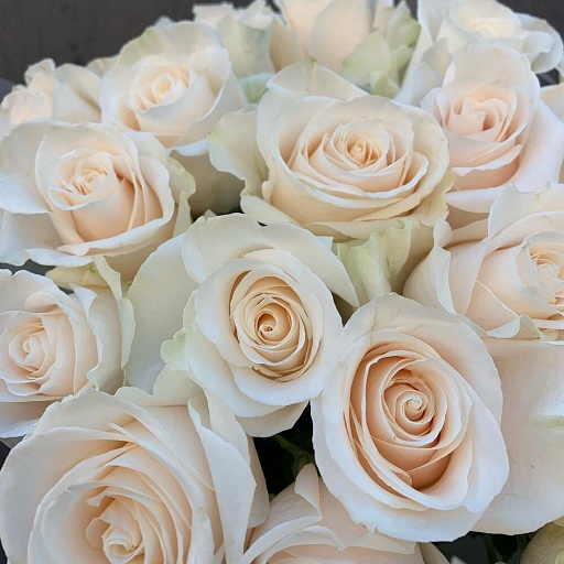 Букет из 21 белой розы «Венделла». Фото №5
