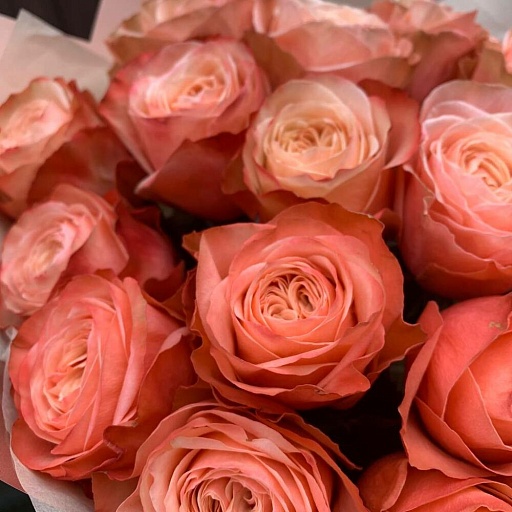 Букет из 17 пионовидных роз "Кахала". Фото №4