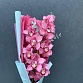 Ветка розовой орхидеи с эвкалиптом в стильной упаковке "Ла-Манш". Фото №6