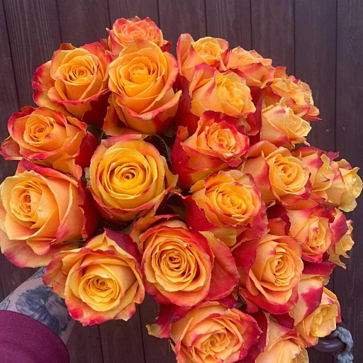 Букет из 25 красно-жёлтых роз "Силантой". Фото №3