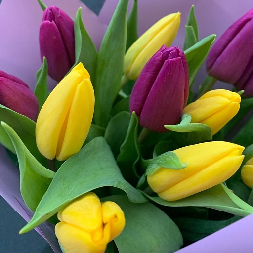 Букет из 15 фиолетовых и желтых тюльпанов "Яркий лучик". Фото №3