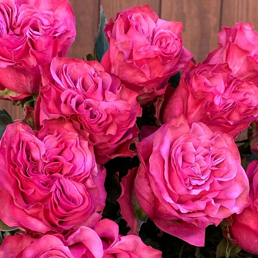 Букет из 15 пионовидных роз "Кантри Блюз". Фото №5