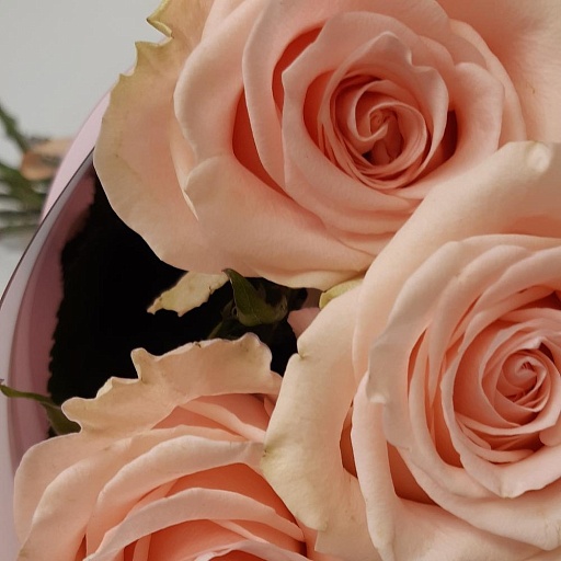 Букет из 9 розовых роз "Фрутетто". Фото №4