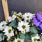 Композиция из кустовой хризантемы, матрекарии, орхидеи Ванда и эвкалипта в деревянном ящике "Махаон". Фото №6
