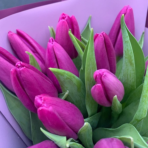 Букет из 15 фиолетовых тюльпанов в стильной упаковке "Сливовица". Фото №5