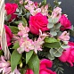 Корзина розами Пинк Флойд, ваксфлауэром, эвкалиптом и кустовыми розами "Милуоки". Фото №7