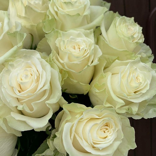 Букет из 15 белых роз "Мондиаль". Фото №4