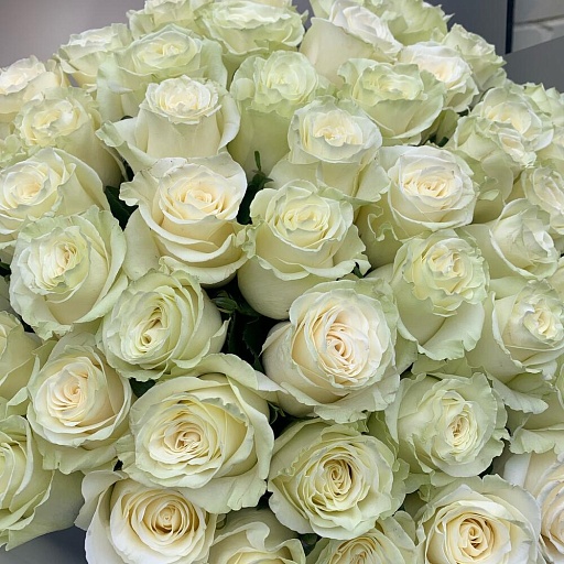 Букет из 51 белой розы "Мондиаль". Фото №4