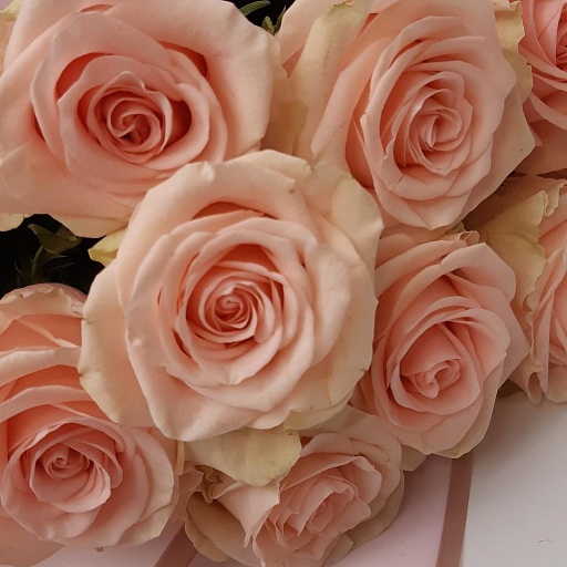 Букет из 9 розовых роз "Фрутетто". Фото №5