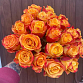 Букет из 25 красно-жёлтых роз "Силантой". Фото №1