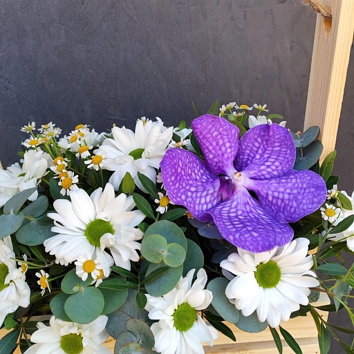 Композиция из кустовой хризантемы, матрекарии, орхидеи Ванда и эвкалипта в деревянном ящике "Махаон". Фото №5