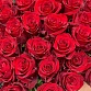 Букет из 25 красных роз "Сандра". Фото №8