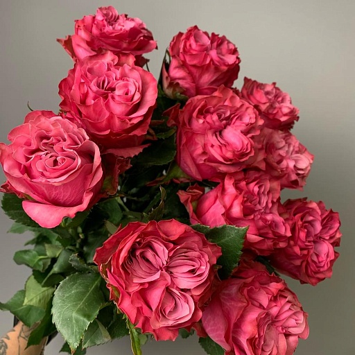 Букет из 11 пионовидных роз "Кантри Блюз". Фото №3