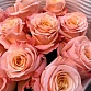 Букет из 11 роз «Шиммер». Фото №6